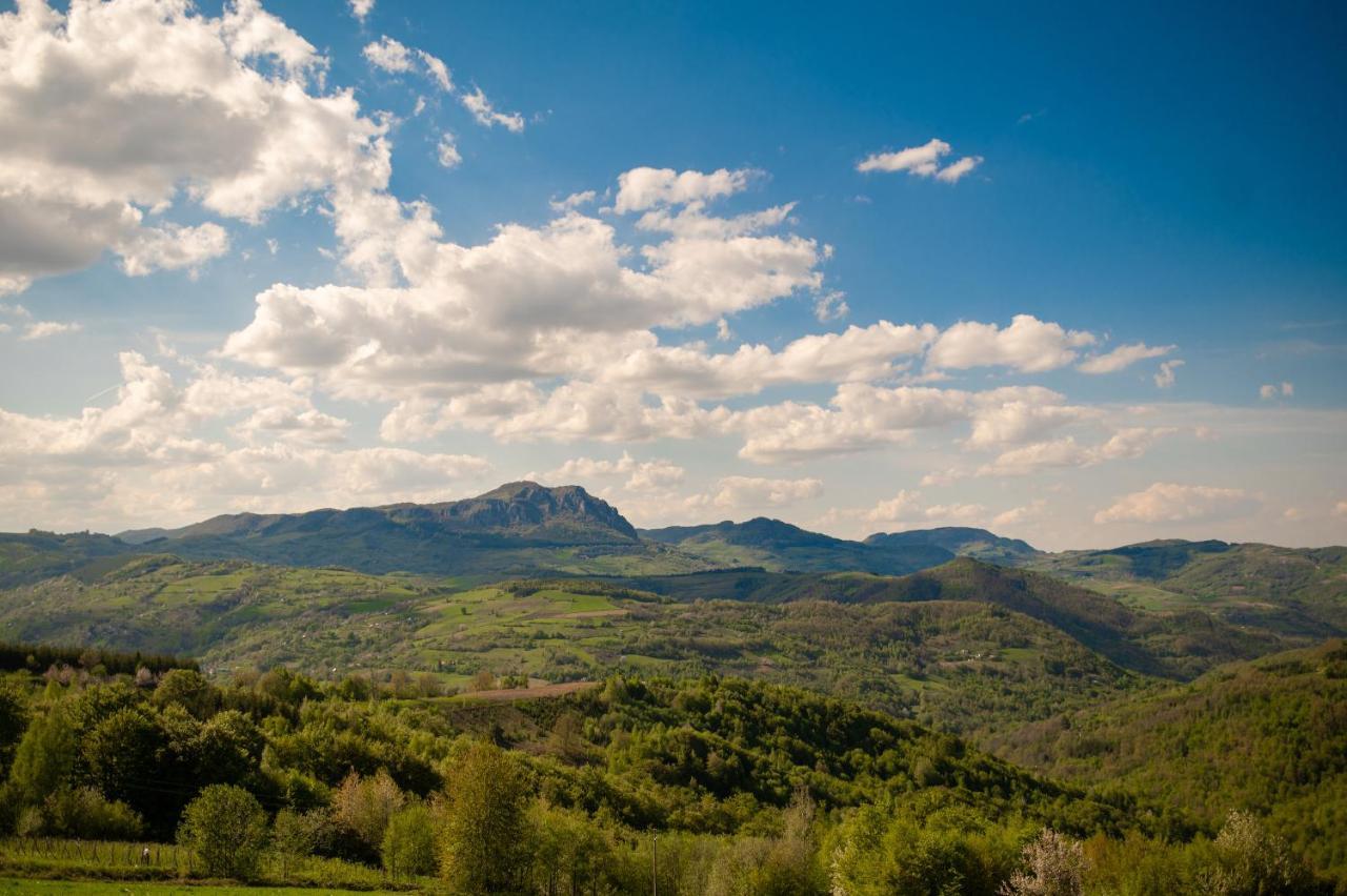 Vila Angelina Kušići Extérieur photo